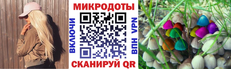Купить где  Саранск  Галлюциногенные грибы прущие грибы 